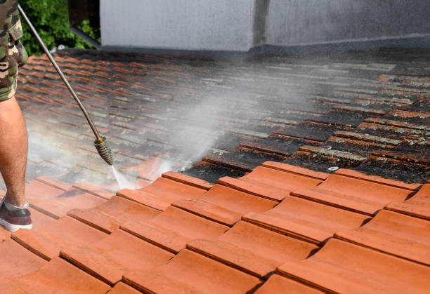 Best Best Pressure Washing Companies  in La Mesa, CA